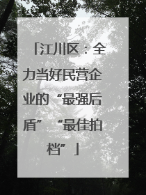 江川区：全力当好民营企业的“最强后盾”“最佳拍档”