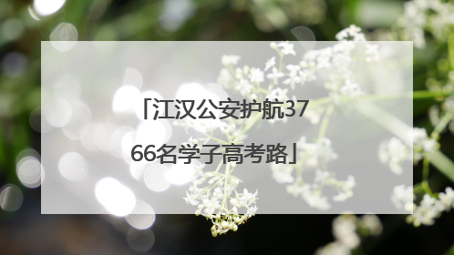 江汉公安护航3766名学子高考路