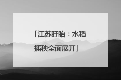 江苏盱眙：水稻插秧全面展开