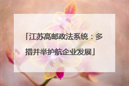 江苏高邮政法系统：多措并举护航企业发展