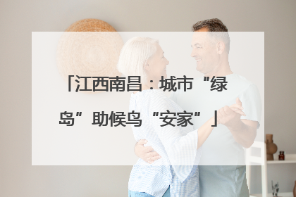 江西南昌：城市“绿岛”助候鸟“安家”