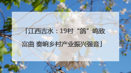 江西吉水：19村“鸽”鸣致富曲 奏响乡村产业振兴强音