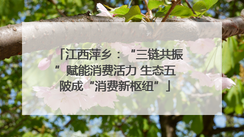 江西萍乡：“三链共振”赋能消费活力 生态五陂成“消费新枢纽”