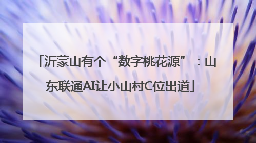 沂蒙山有个“数字桃花源”：山东联通AI让小山村C位出道