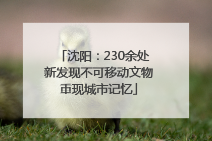 沈阳：230余处新发现不可移动文物重现城市记忆