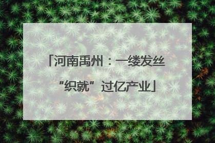 河南禹州：一缕发丝“织就”过亿产业