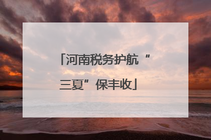 河南税务护航“三夏”保丰收