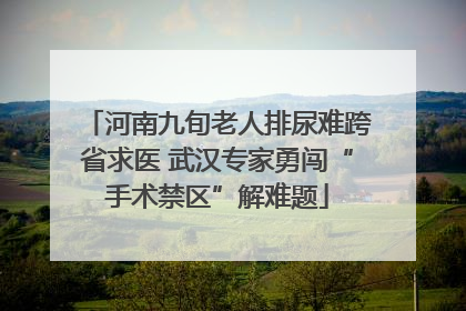河南九旬老人排尿难跨省求医 武汉专家勇闯“手术禁区”解难题