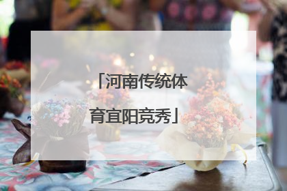 河南传统体育宜阳竞秀