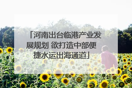 河南出台临港产业发展规划 欲打造中部便捷水运出海通道