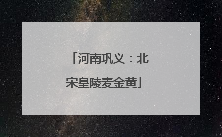 河南巩义：北宋皇陵麦金黄
