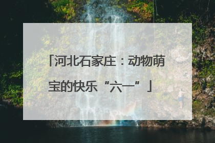 河北石家庄：动物萌宝的快乐“六一”