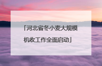 河北省冬小麦大规模机收工作全面启动