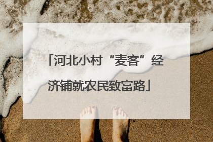 河北小村“麦客”经济铺就农民致富路