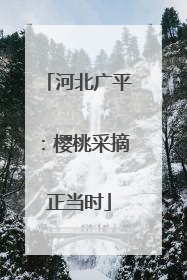 河北广平：樱桃采摘正当时