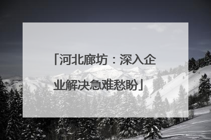 河北廊坊：深入企业解决急难愁盼