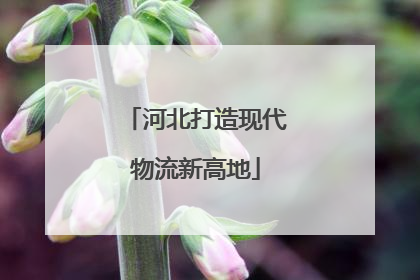 河北打造现代物流新高地