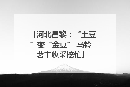 河北昌黎：“土豆”变“金豆” 马铃薯丰收采挖忙