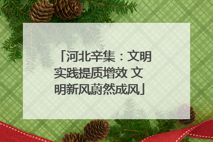 河北辛集：文明实践提质增效 文明新风蔚然成风