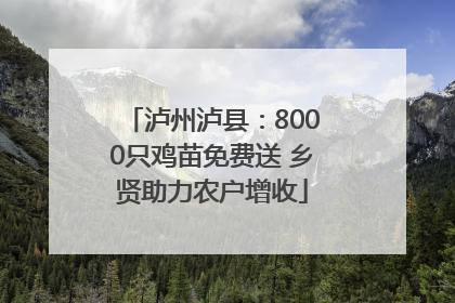 泸州泸县:8000只鸡苗免费送 乡贤助力农户增收