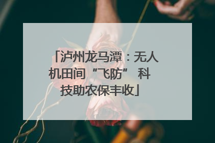 泸州龙马潭：无人机田间“飞防” 科技助农保丰收