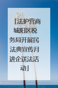法护营商 城阳区税务局开展民法典宣传月进企送法活动