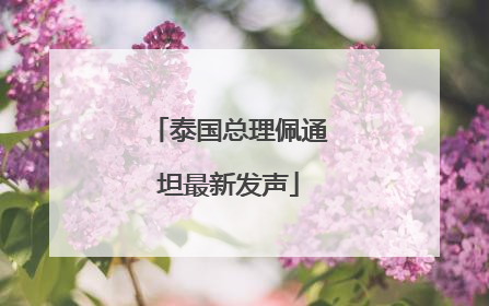 泰国总理佩通坦最新发声