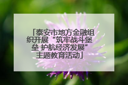 泰安市地方金融组织开展“筑牢战斗堡垒 护航经济发展”主题教育活动