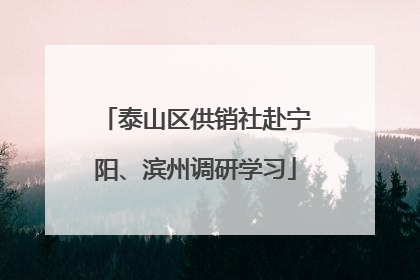 泰山区供销社赴宁阳、滨州调研学习