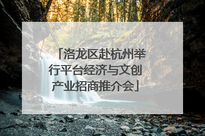 洛龙区赴杭州举行平台经济与文创产业招商推介会