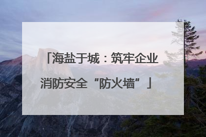 海盐于城：筑牢企业消防安全“防火墙”