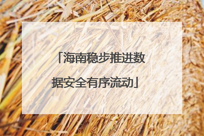 海南稳步推进数据安全有序流动