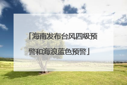 海南发布台风四级预警和海浪蓝色预警
