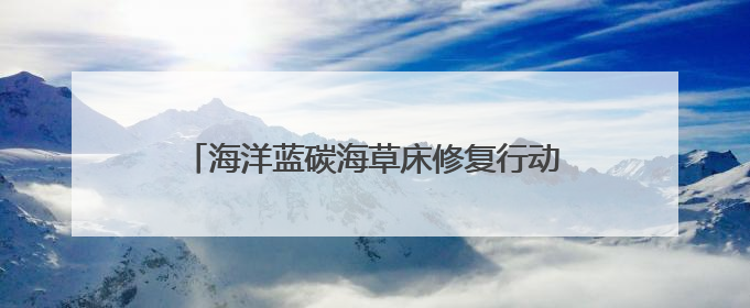 海洋蓝碳海草床修复行动开启 循环经济产业助力低碳社会建设丨新经济观察