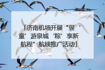 济南机场开展“翼‘童’游泉城‘粽’享新航程”航线推广活动