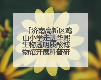 济南高新区鸡山小学走进华熙生物透明质酸博物馆开展科普研学活动