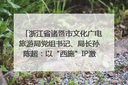 浙江省诸暨市文化广电旅游局党组书记、局长孙陈超：以“西施”IP激活全域旅游 打造县域文旅融合新标杆｜第七届全国县域旅游研究成果发布系列活动
