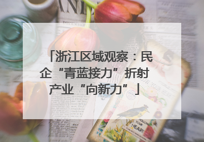 浙江区域观察：民企“青蓝接力”折射产业“向新力”