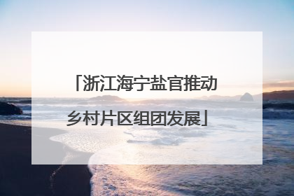 浙江海宁盐官推动乡村片区组团发展