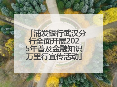 浦发银行武汉分行全面开展2025年普及金融知识万里行宣传活动