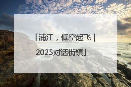 浦江，低空起飞｜2025对话街镇