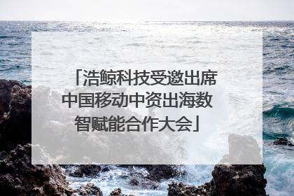 浩鲸科技受邀出席中国移动中资出海数智赋能合作大会