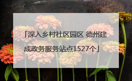 深入乡村社区园区 德州建成政务服务站点1527个