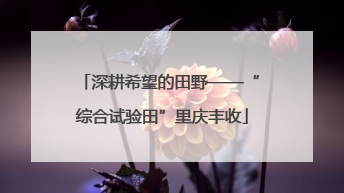 深耕希望的田野——“综合试验田”里庆丰收