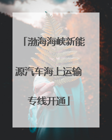 渤海海峡新能源汽车海上运输专线开通