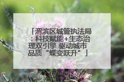 渭滨区城管执法局：科技赋能+生态治理双引擎 驱动城市品质“蝶变跃升”