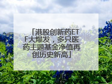 港股创新药ETF大爆发，多只医药主题基金净值再创历史新高