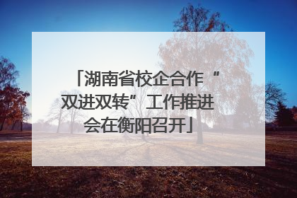 湖南省校企合作“双进双转”工作推进会在衡阳召开