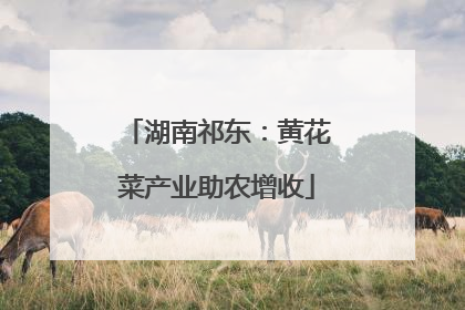 湖南祁东：黄花菜产业助农增收