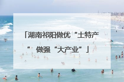 湖南祁阳做优“土特产” 做强“大产业”